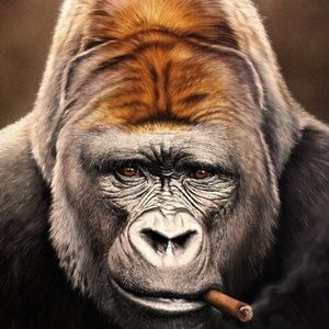 Meet your Posher, Walter